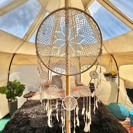 The Aries-A Stargazing, Luxury Glamping Tent Rogersville Exteriér fotografie
