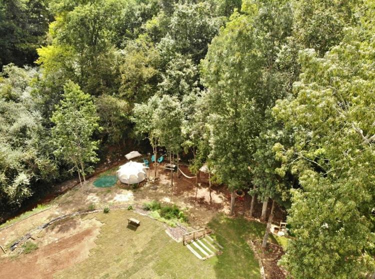 The Aries-A Stargazing, Luxury Glamping Tent Rogersville Exteriér fotografie