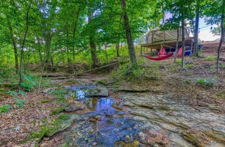 The Aries-A Stargazing, Luxury Glamping Tent Rogersville Exteriér fotografie